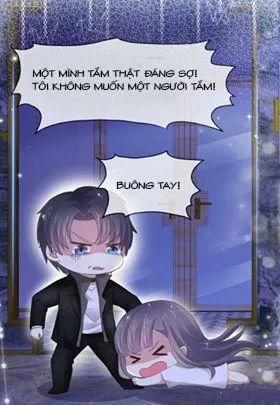 Bồn Nhiên Tinh Động 4 trang 17