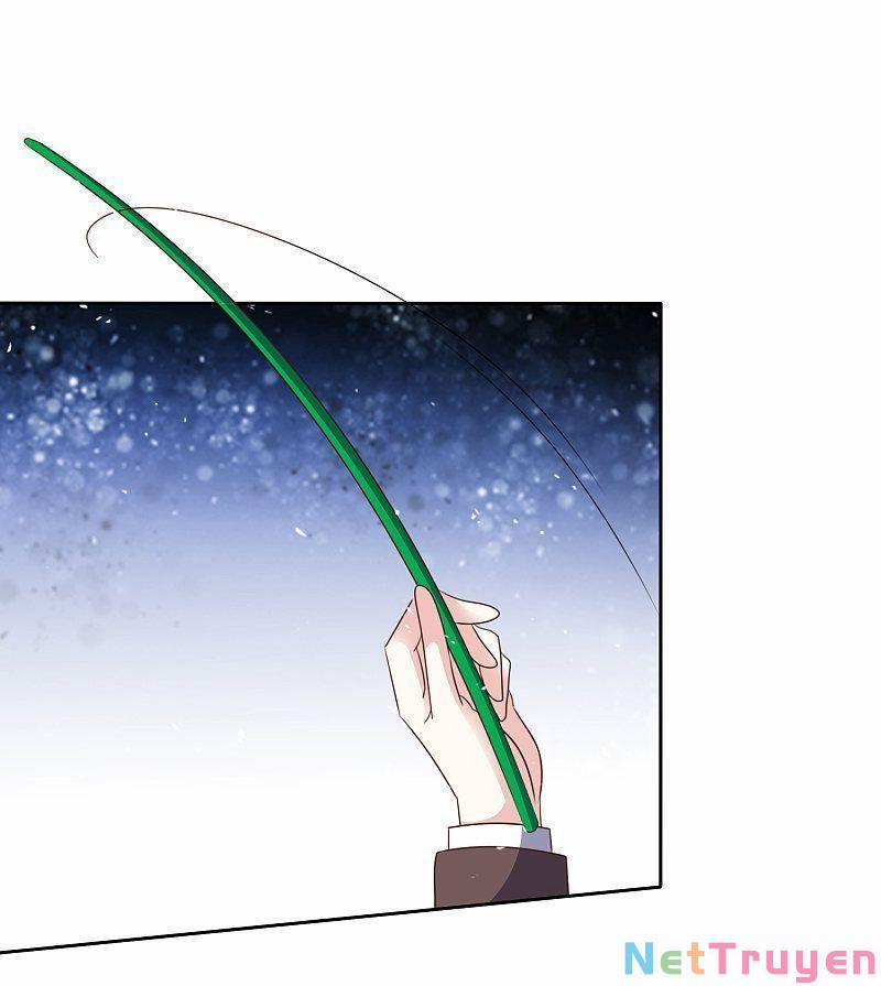 Bồn Nhiên Tinh Động 74 trang 27