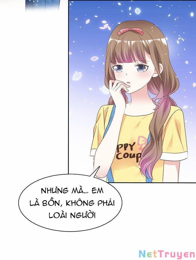 Bồn Nhiên Tinh Động 78 trang 13