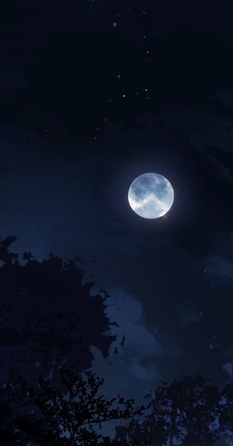 Bổn Tôn Tại Tông Môn Dưỡng Quỷ Hút Máu 47 trang 11