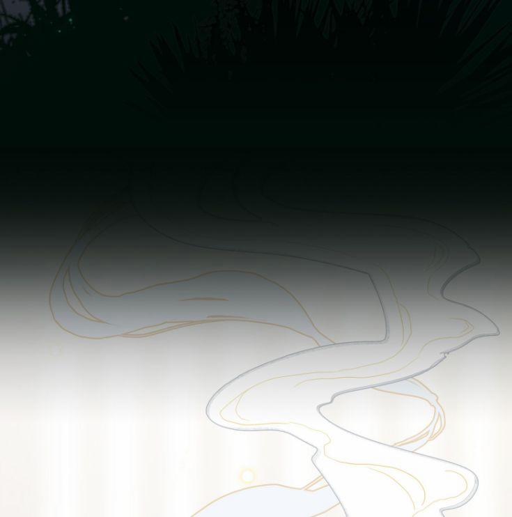 Bổn Tôn Tại Tông Môn Dưỡng Quỷ Hút Máu 7 trang 13