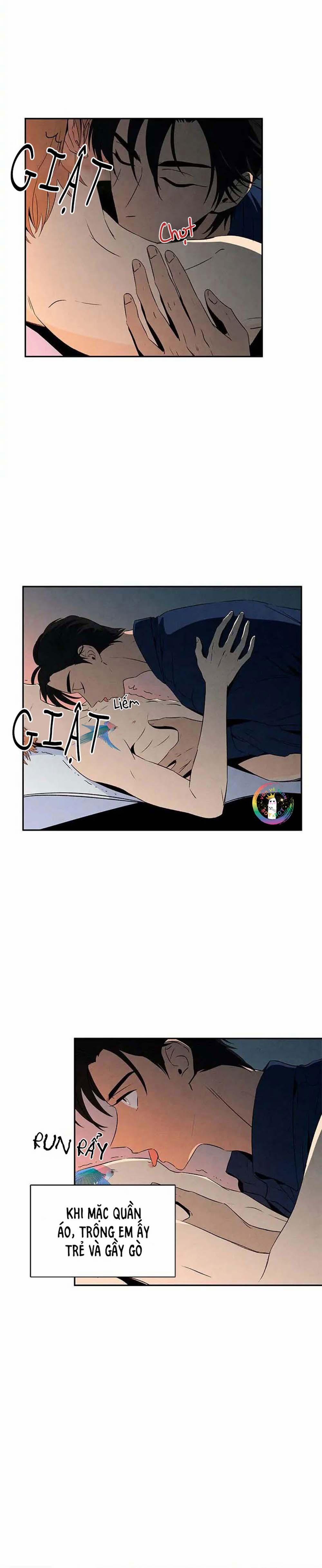 Bona Sort (End) 10 trang 2