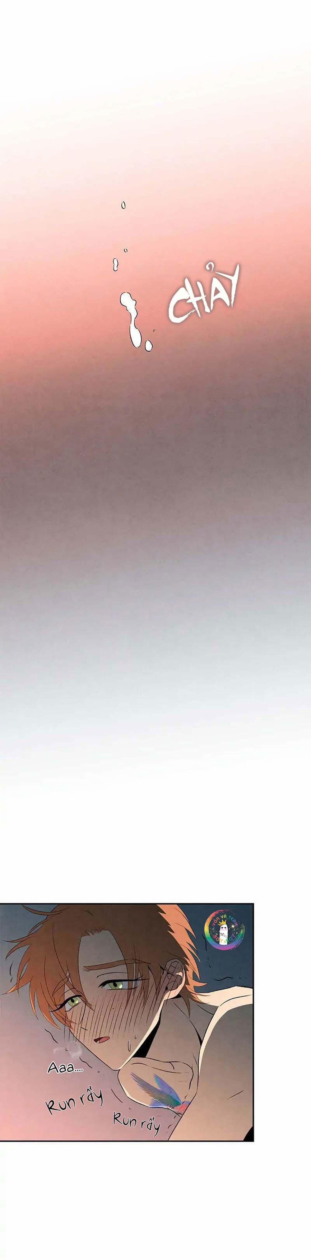 Bona Sort (End) 10 trang 25