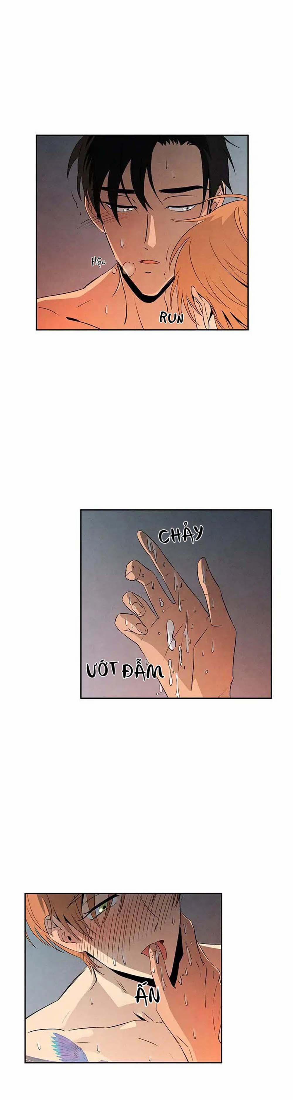 Bona Sort (End) 11 trang 10