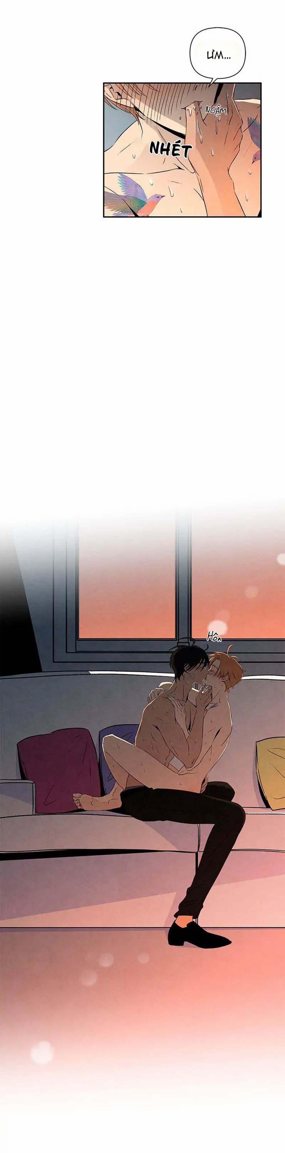 Bona Sort (End) 11 trang 11