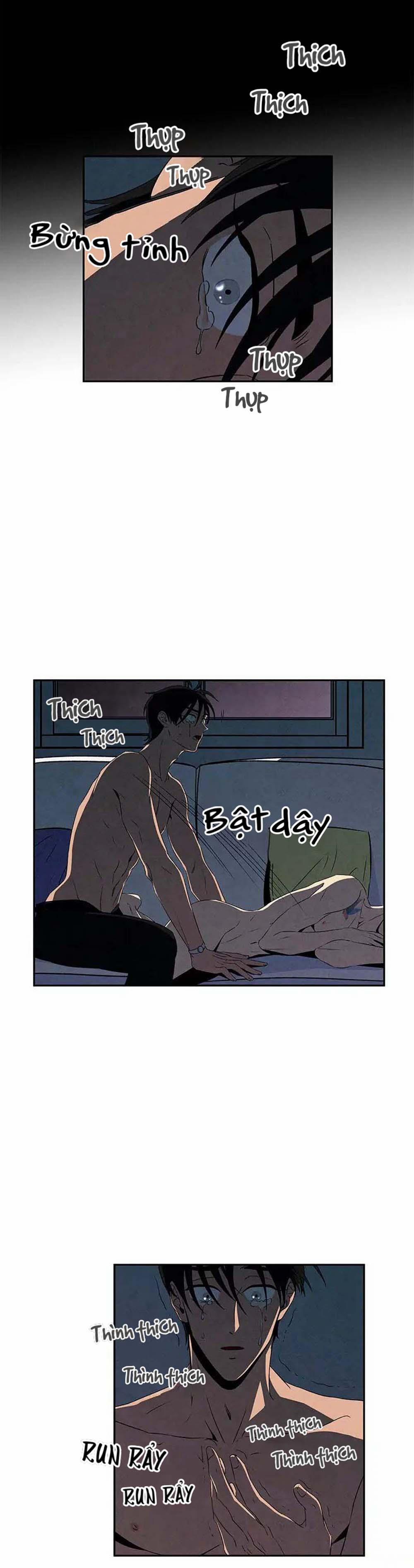 Bona Sort (End) 11 trang 19