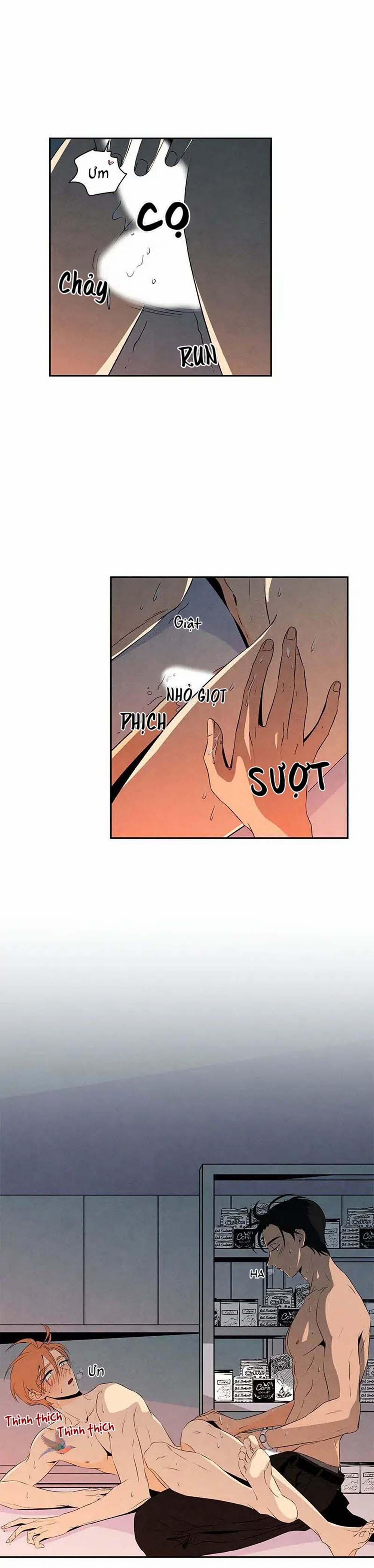 Bona Sort (End) 11 trang 2