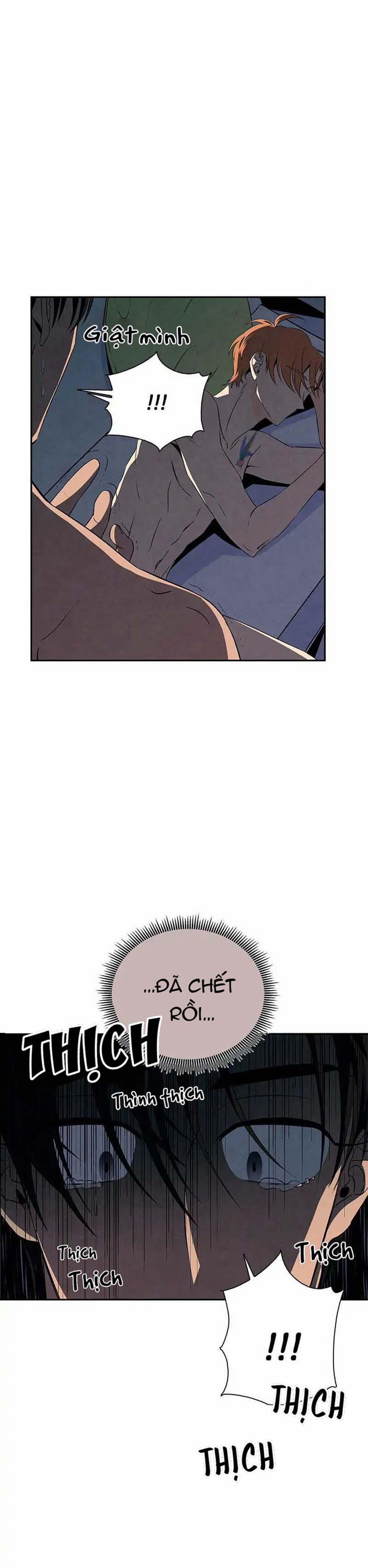 Bona Sort (End) 11 trang 20