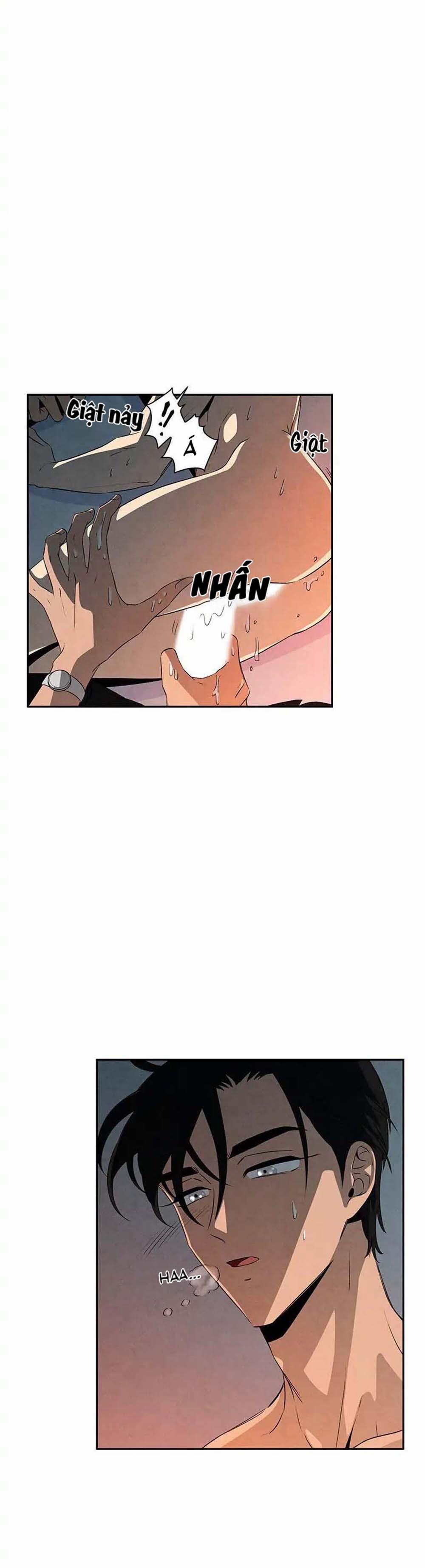 Bona Sort (End) 11 trang 3