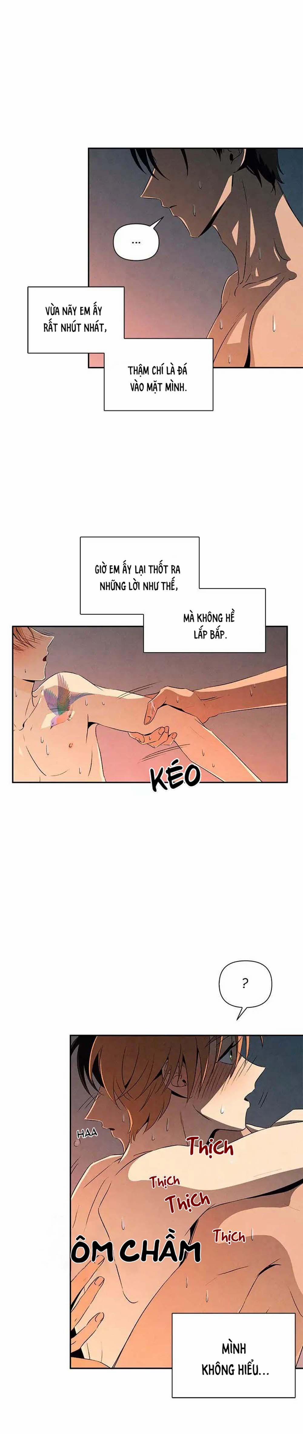 Bona Sort (End) 11 trang 5