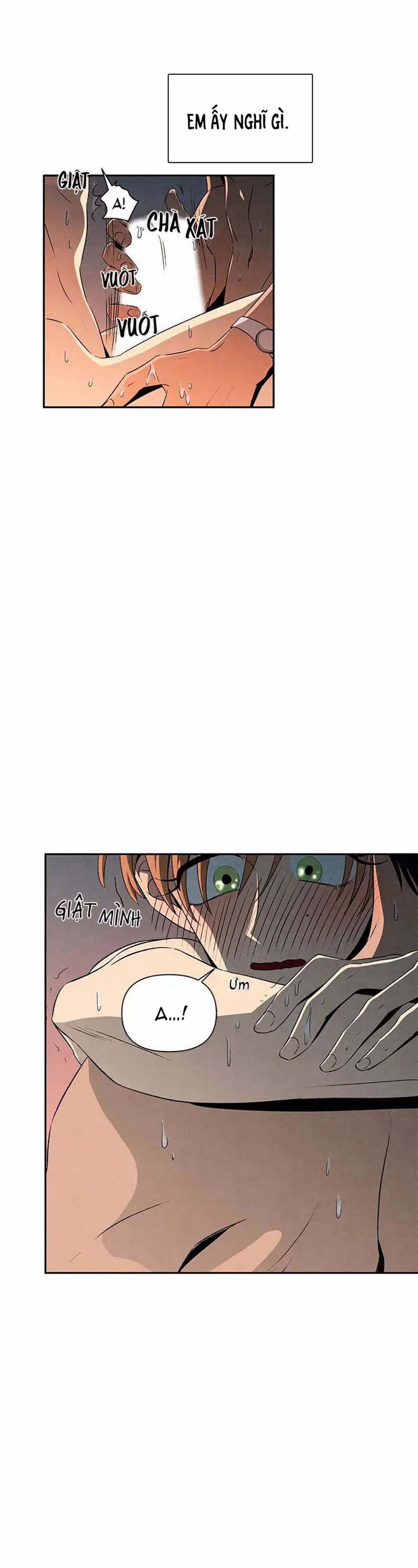 Bona Sort (End) 11 trang 6