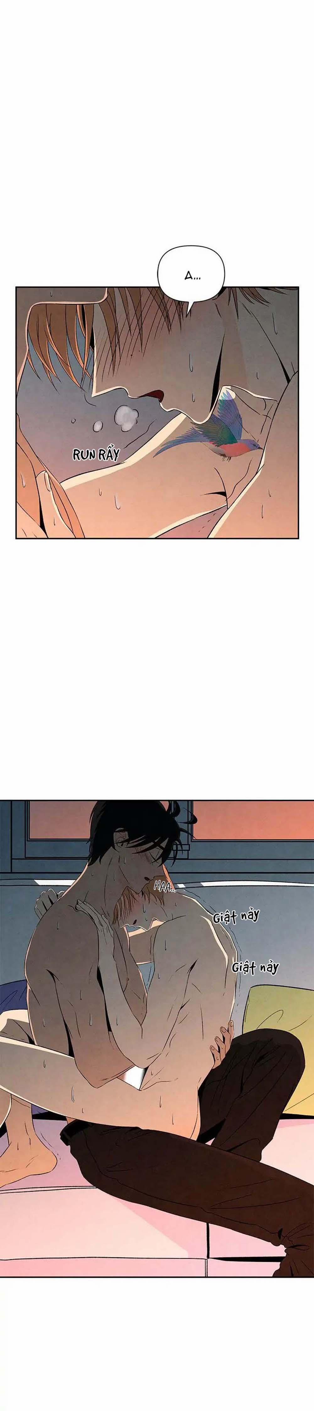 Bona Sort (End) 11 trang 9