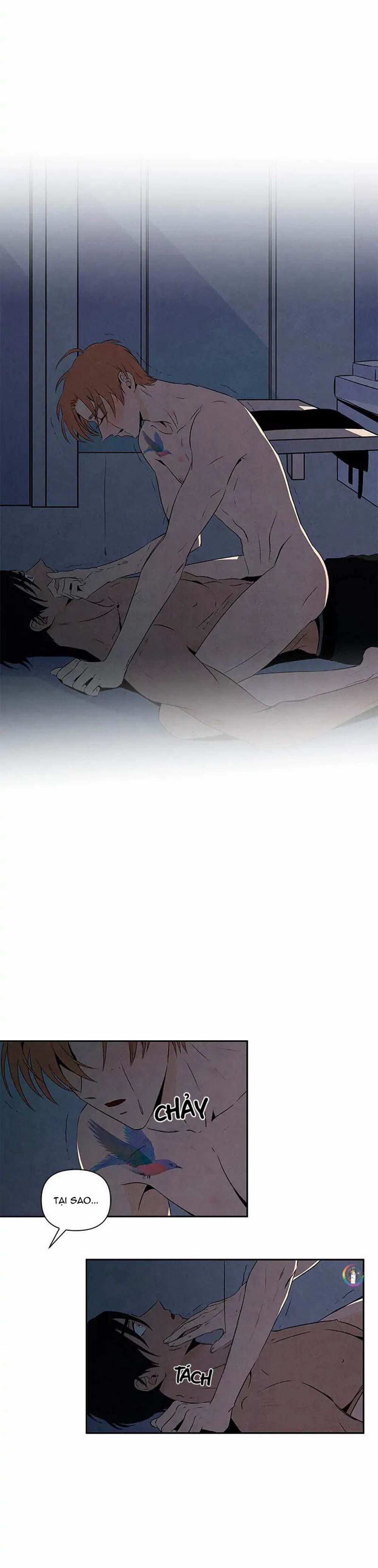 Bona Sort (End) 12 trang 16