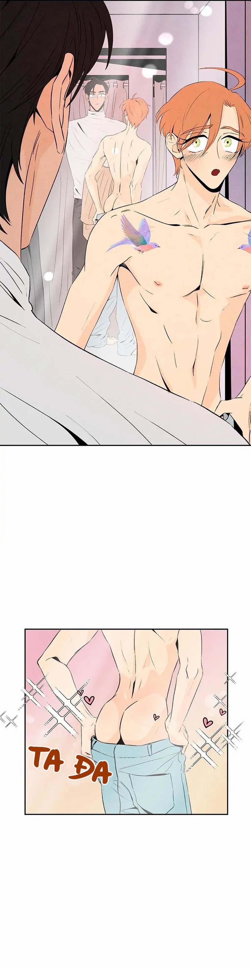 Bona Sort (End) 14 trang 17