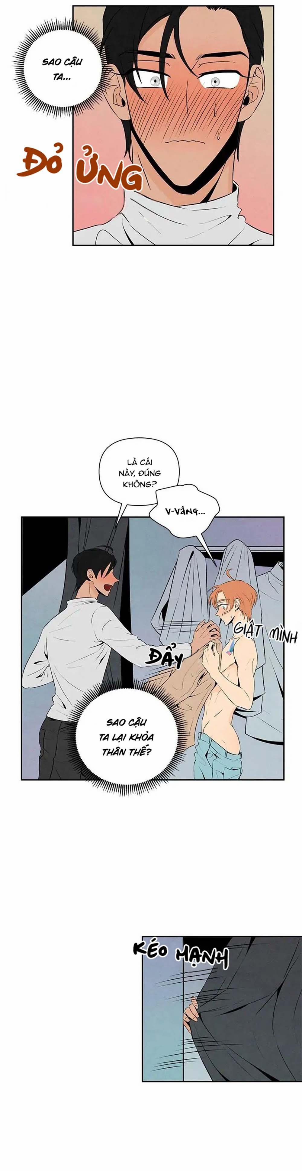 Bona Sort (End) 14 trang 18