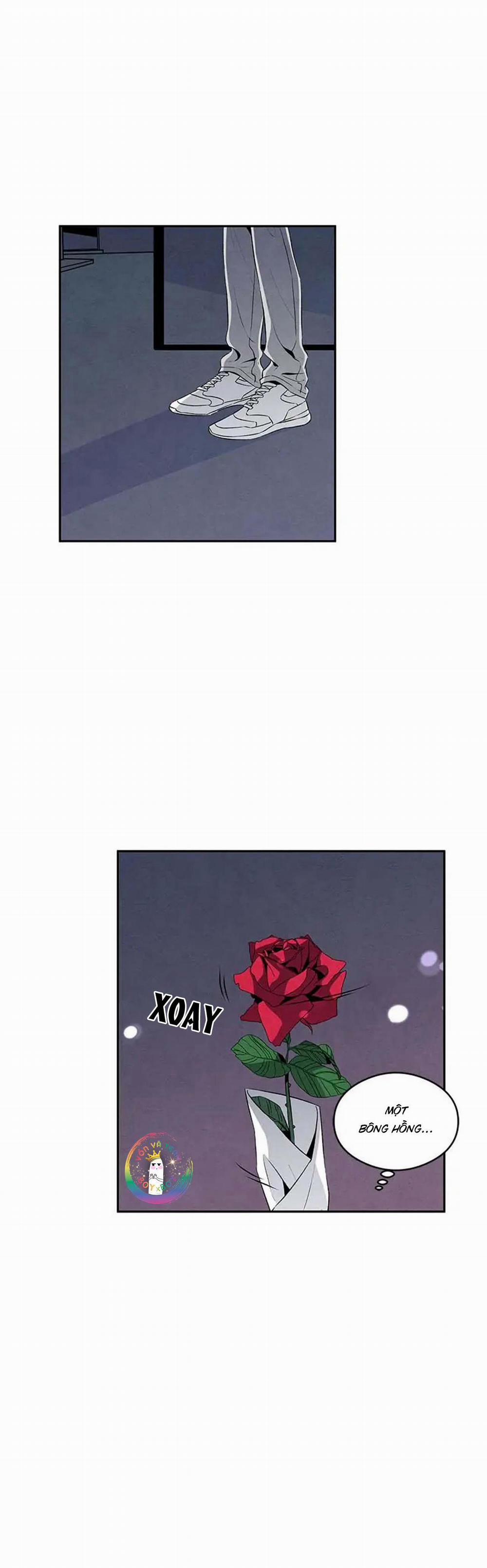 Bona Sort (End) 16 trang 14