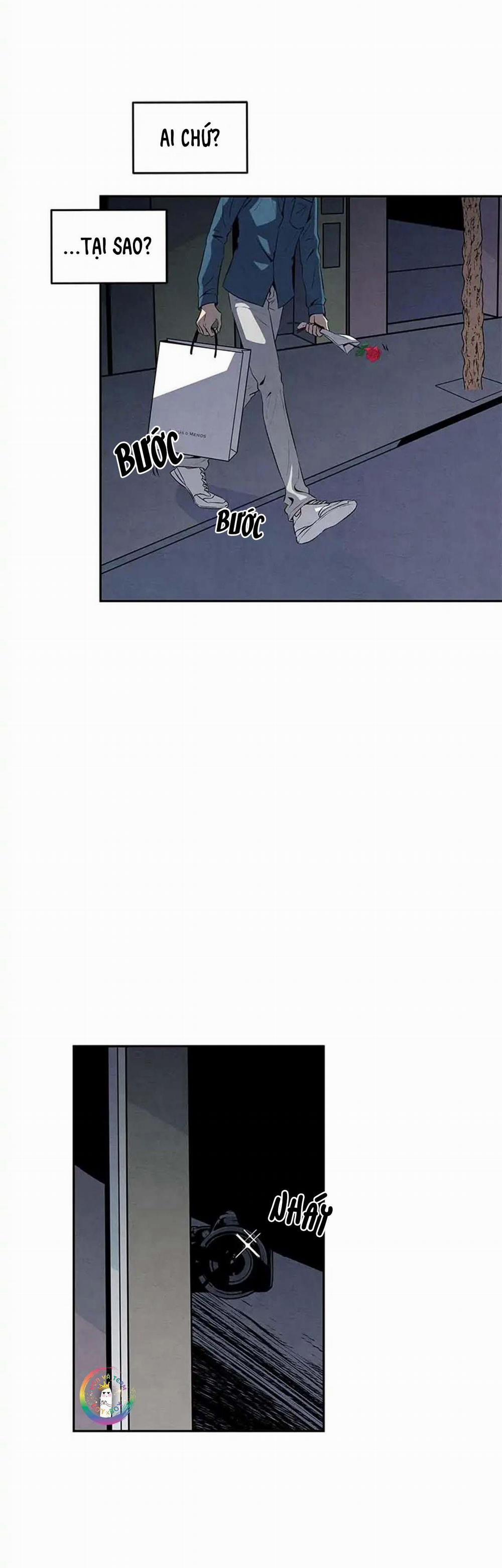 Bona Sort (End) 16 trang 18