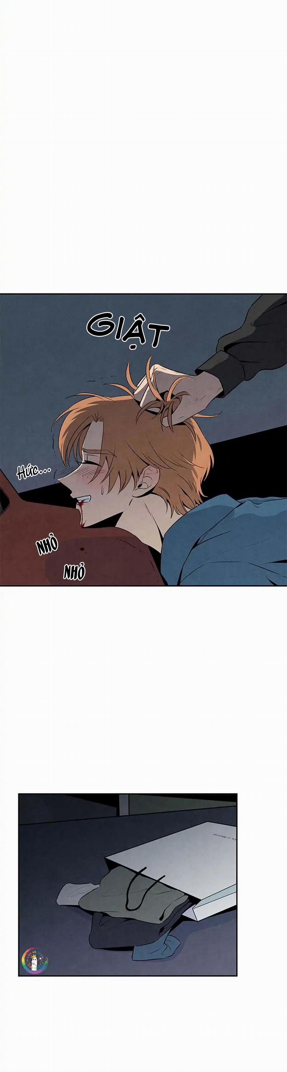 Bona Sort (End) 16 trang 22