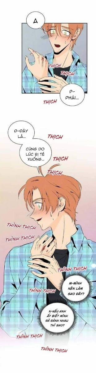 Bona Sort (End) 17 trang 31