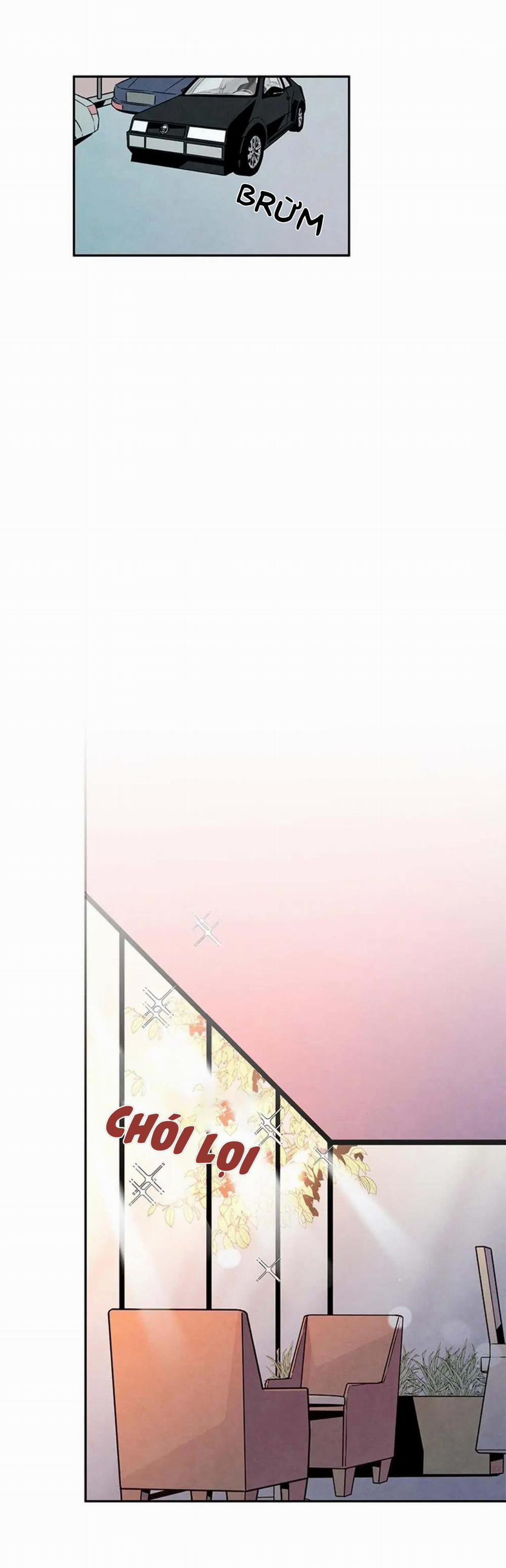 Bona Sort (End) 18 trang 17