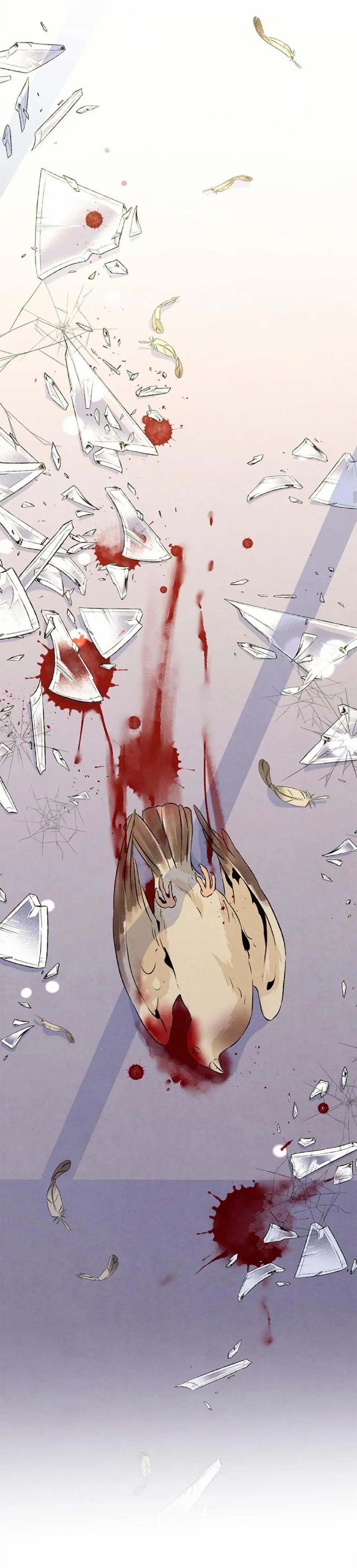 Bona Sort (End) 18 trang 21