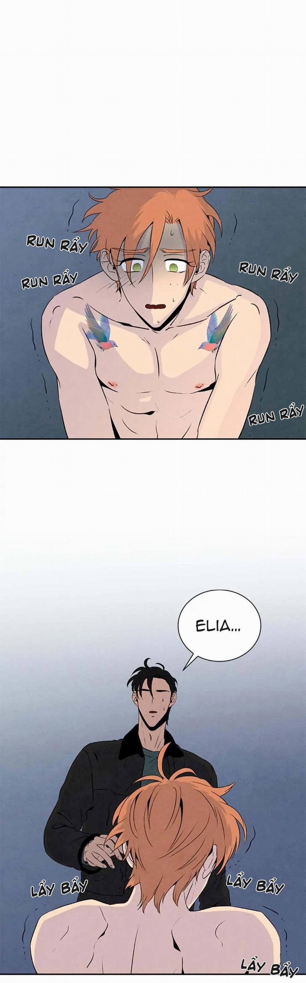 Bona Sort (End) 18 trang 22