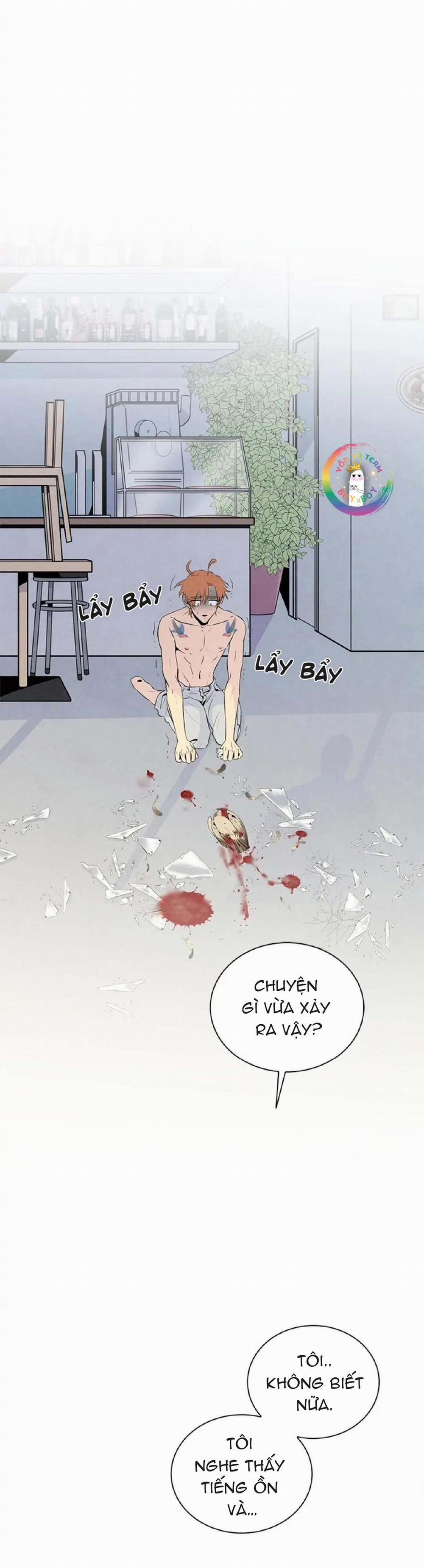 Bona Sort (End) 18 trang 23