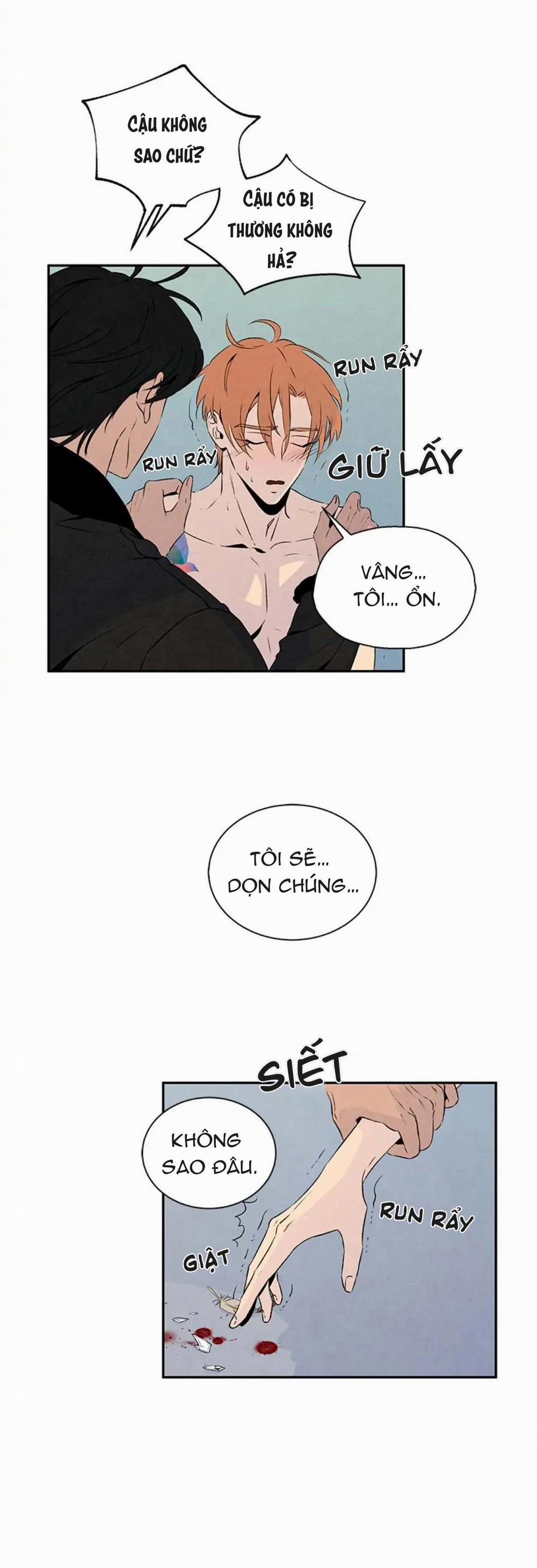 Bona Sort (End) 18 trang 24