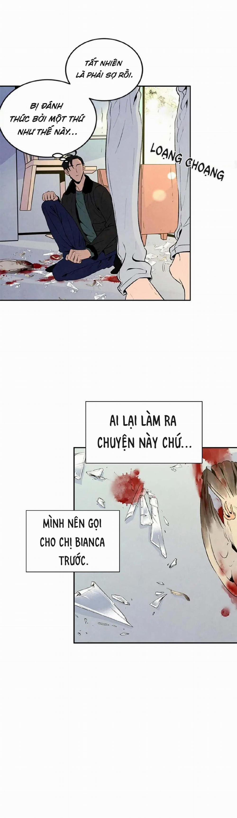 Bona Sort (End) 18 trang 26