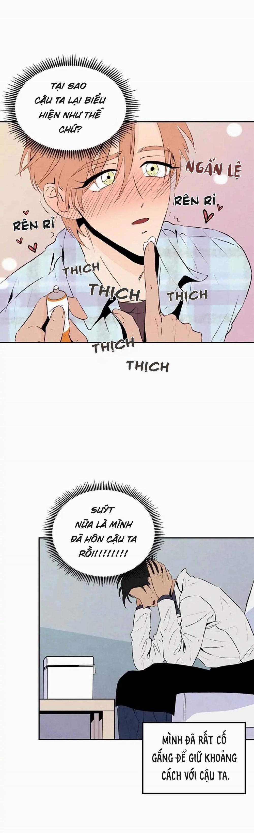 Bona Sort (End) 18 trang 6