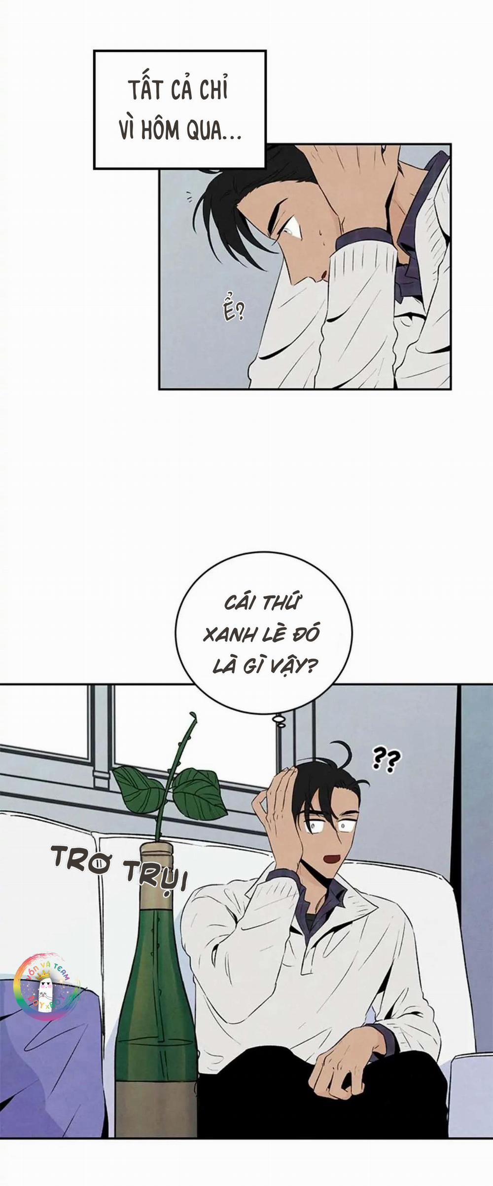 Bona Sort (End) 18 trang 7