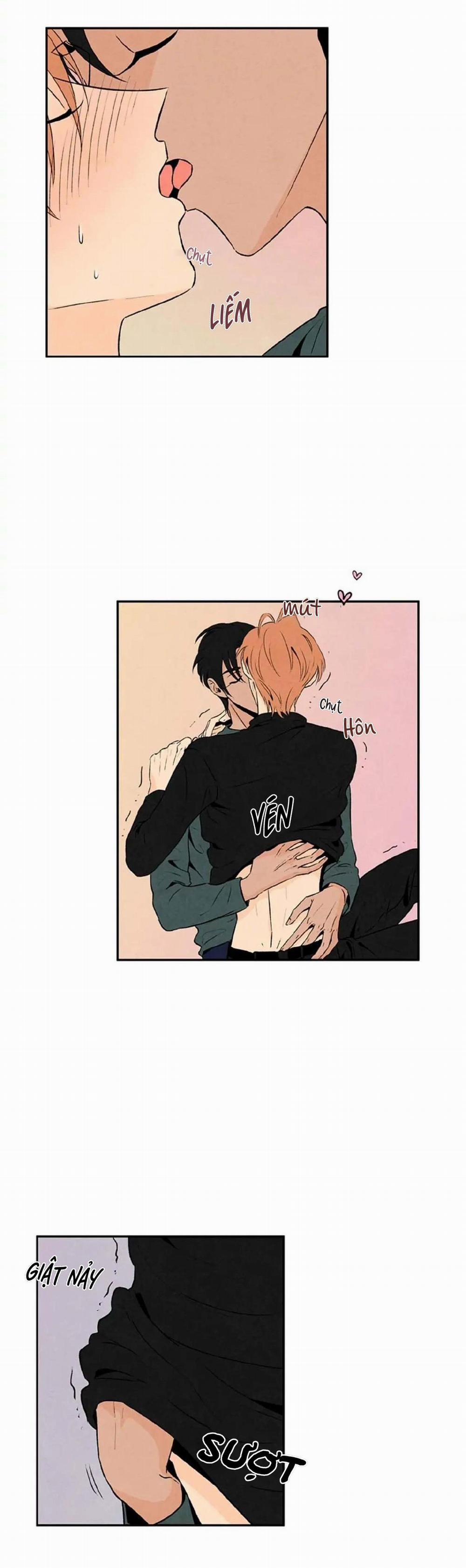 Bona Sort (End) 19 0 trang 20