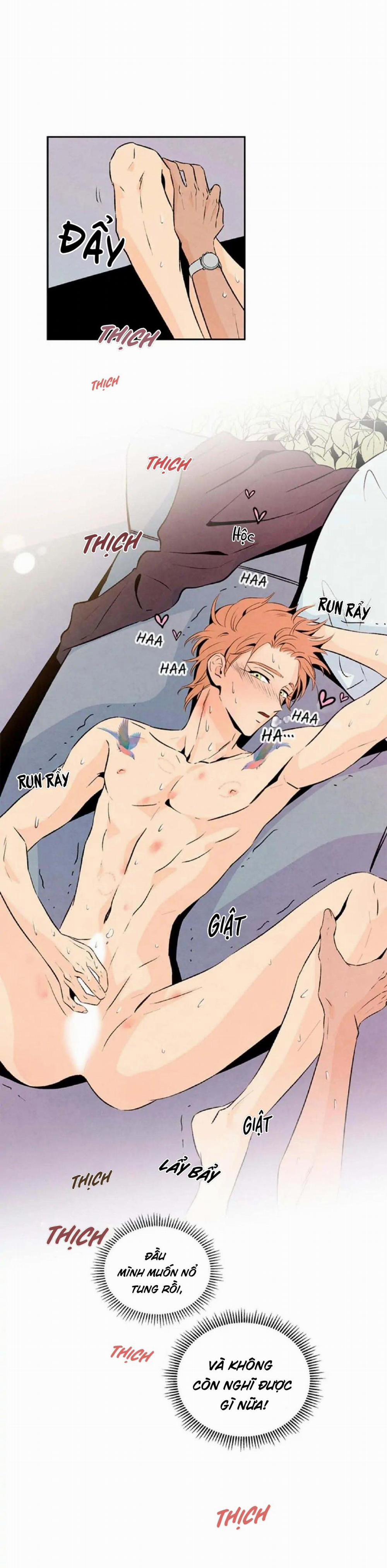 Bona Sort (End) 19 0 trang 28