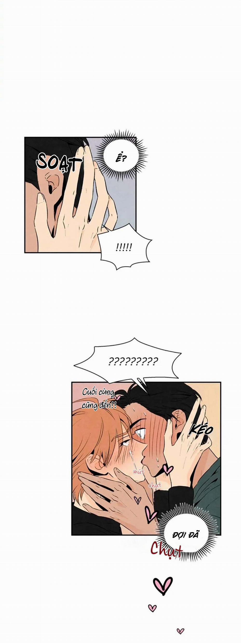 Bona Sort (End) 19 trang 16