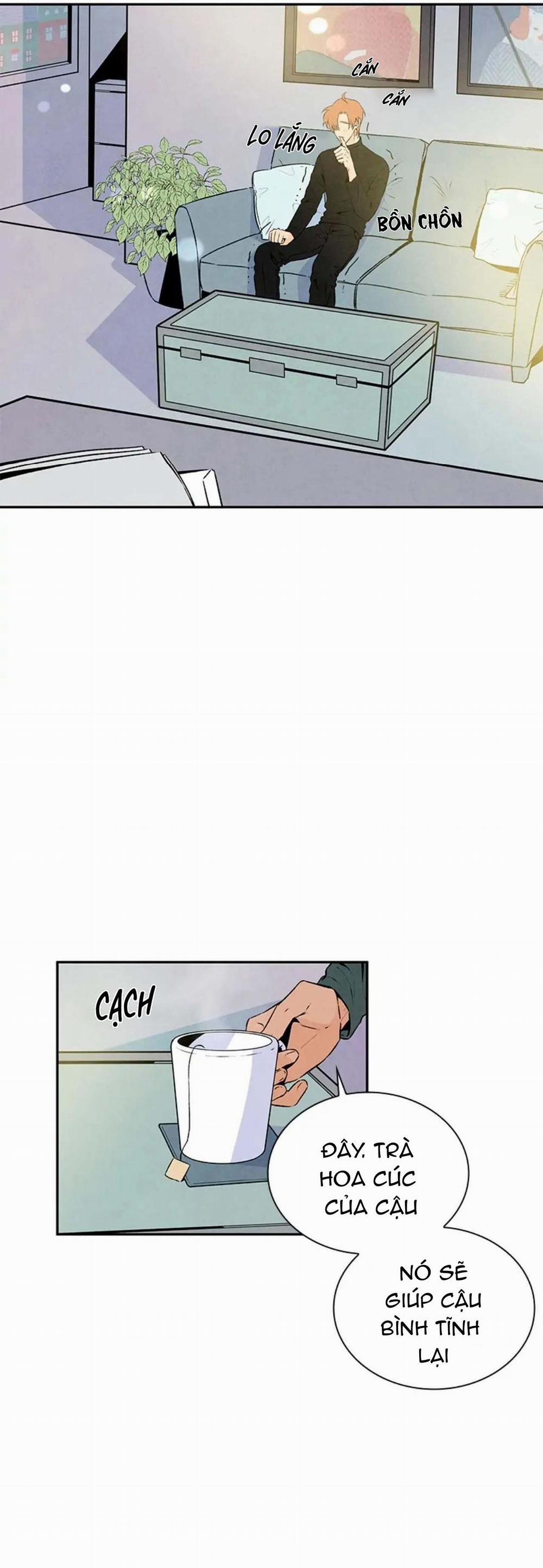 Bona Sort (End) 19 trang 2