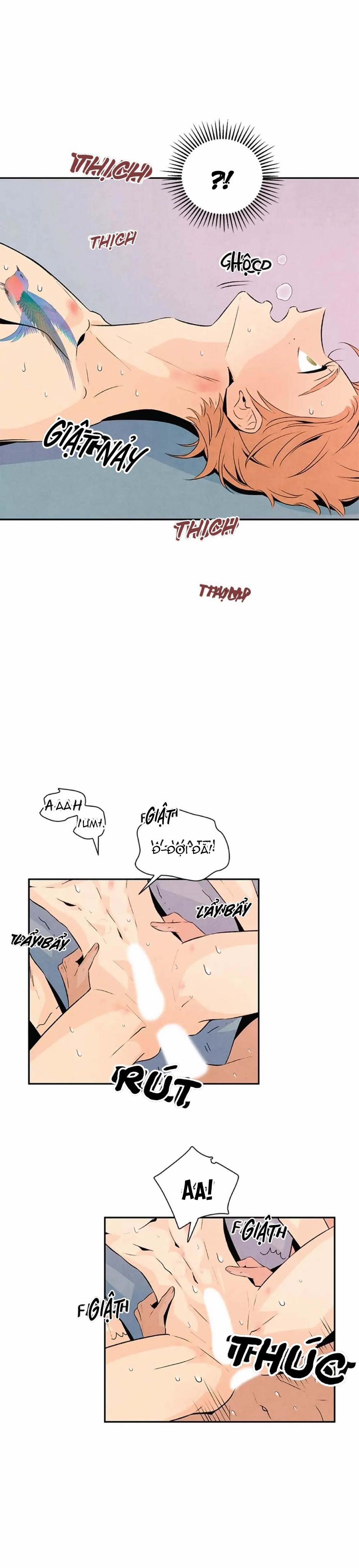 Bona Sort (End) 20 0 trang 17