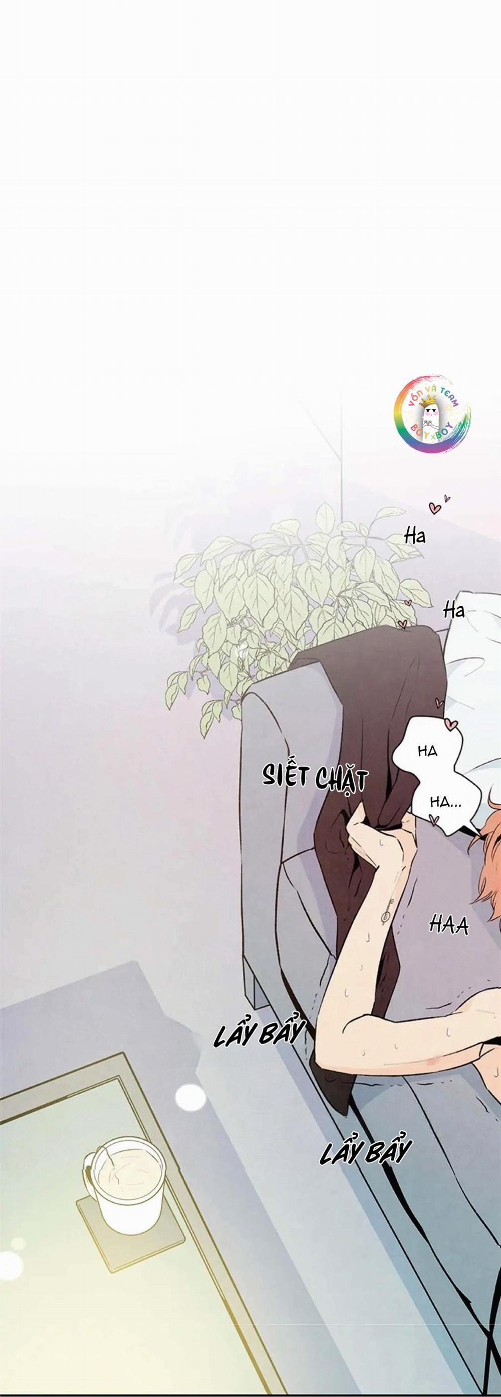 Bona Sort (End) 20 0 trang 2