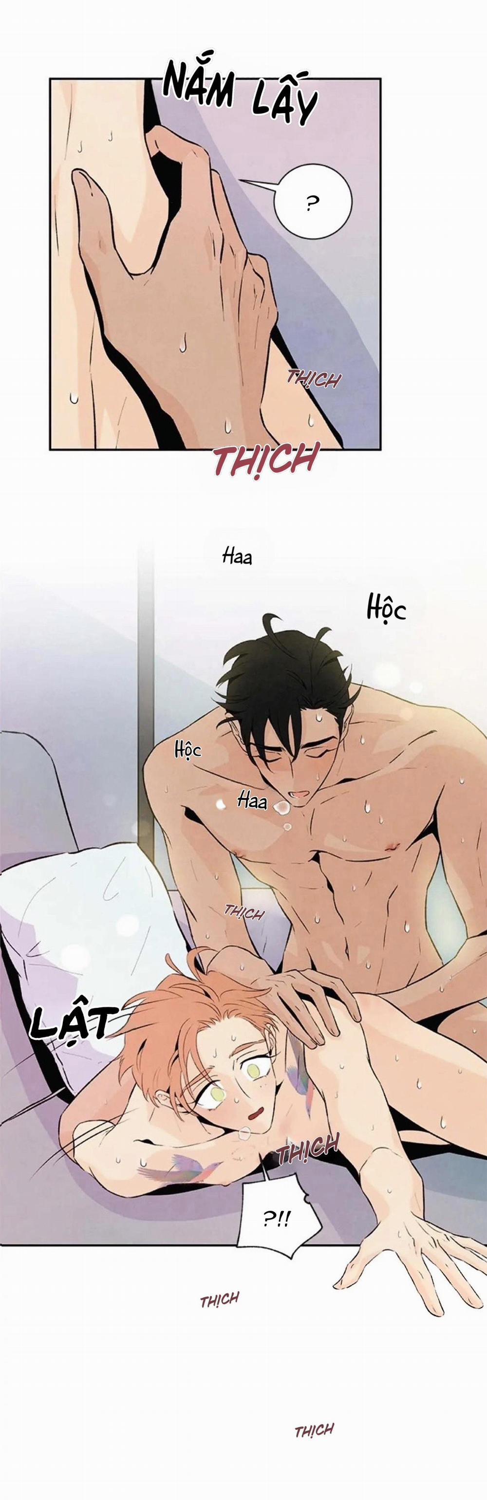 Bona Sort (End) 20 0 trang 23