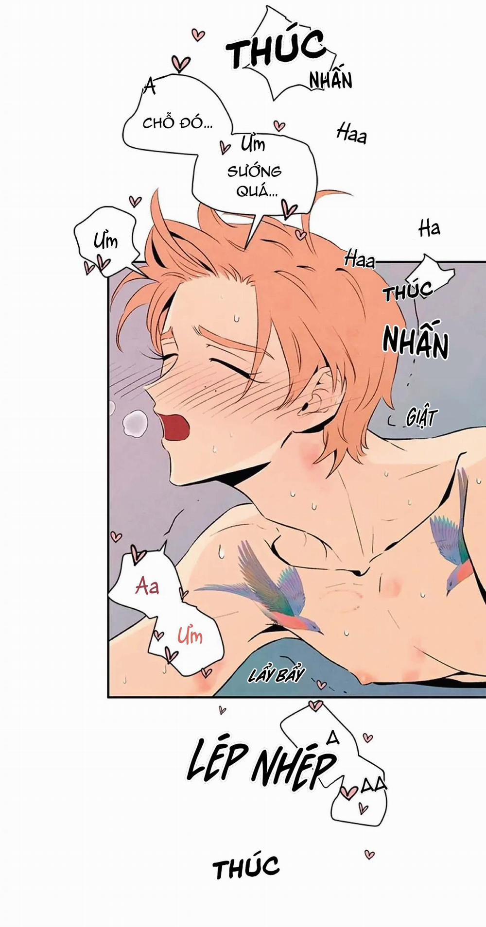 Bona Sort (End) 20 0 trang 27