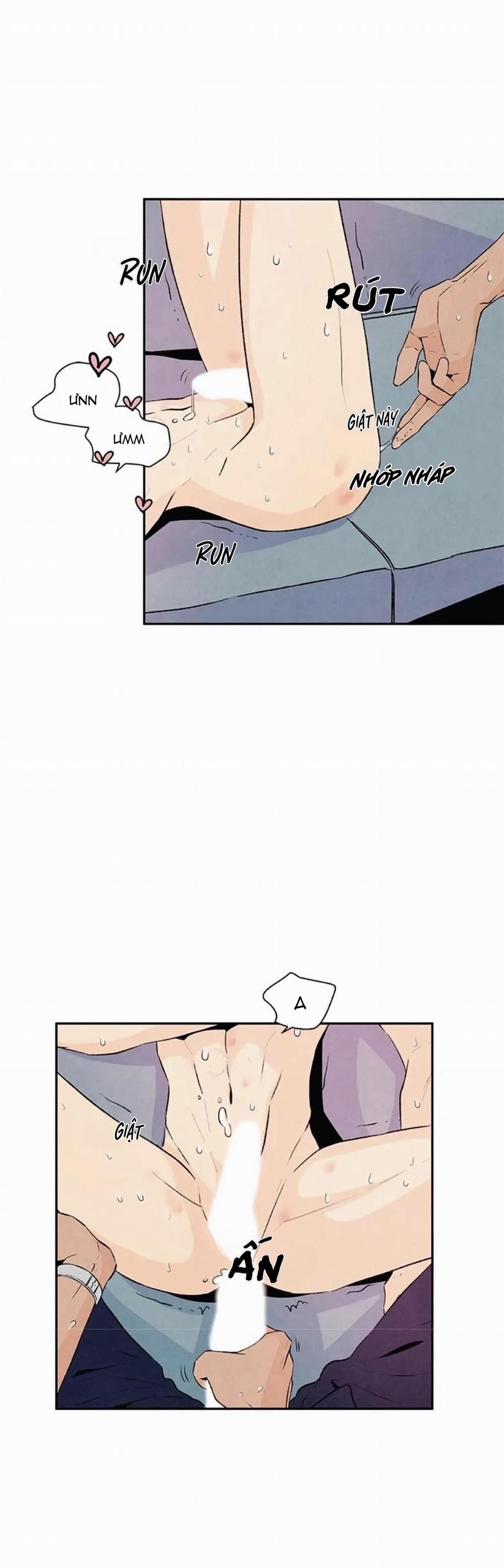 Bona Sort (End) 20 0 trang 5