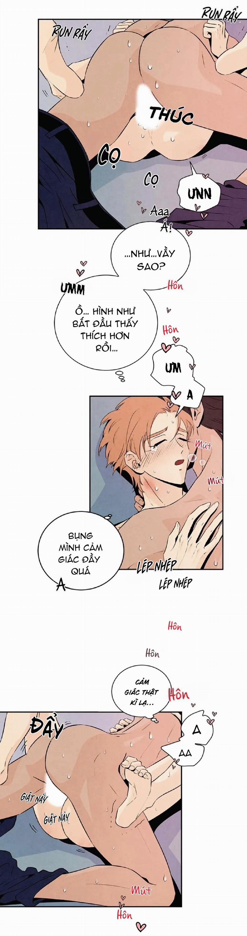 Bona Sort (End) 20 trang 13