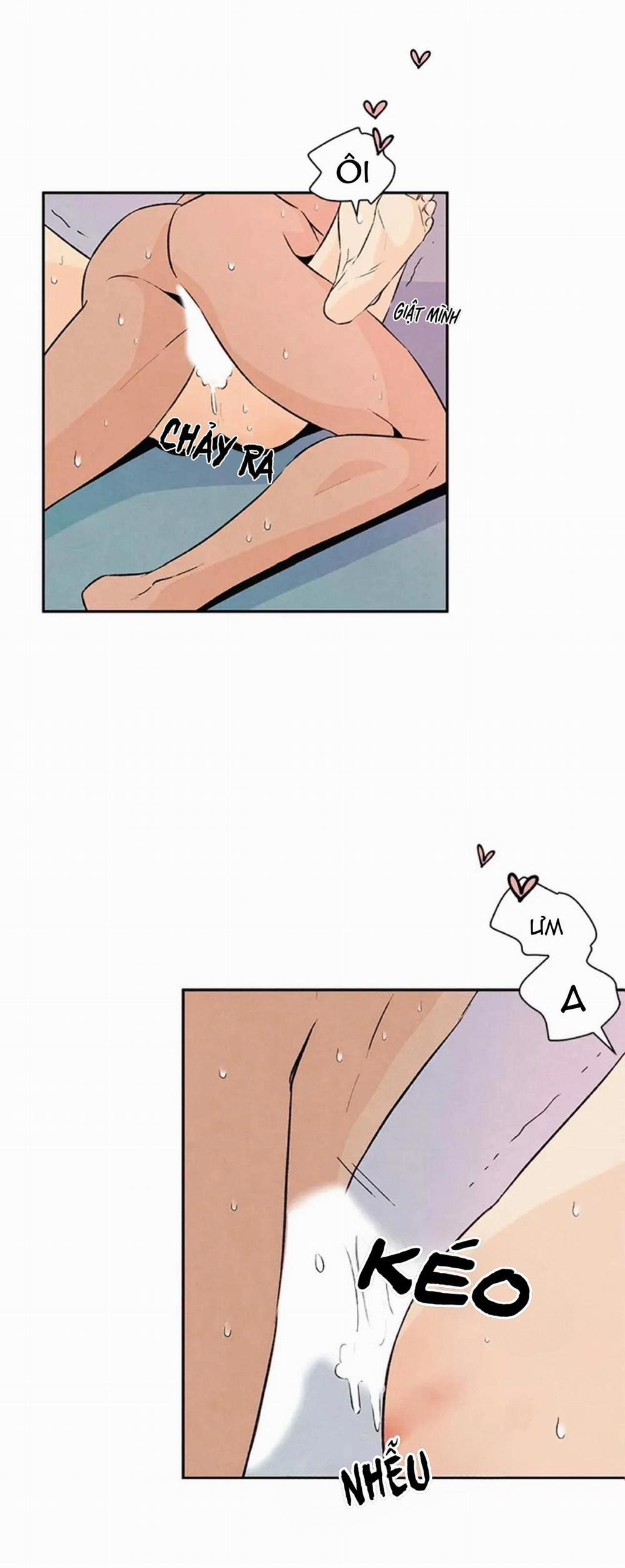 Bona Sort (End) 20 trang 21