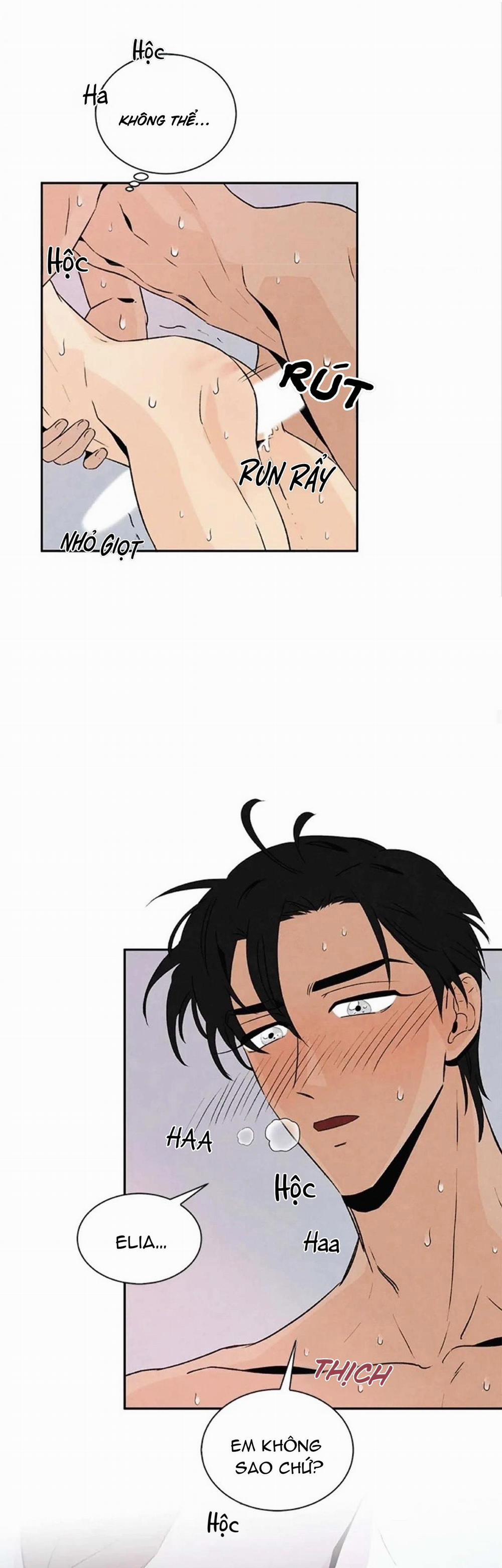 Bona Sort (End) 20 trang 29