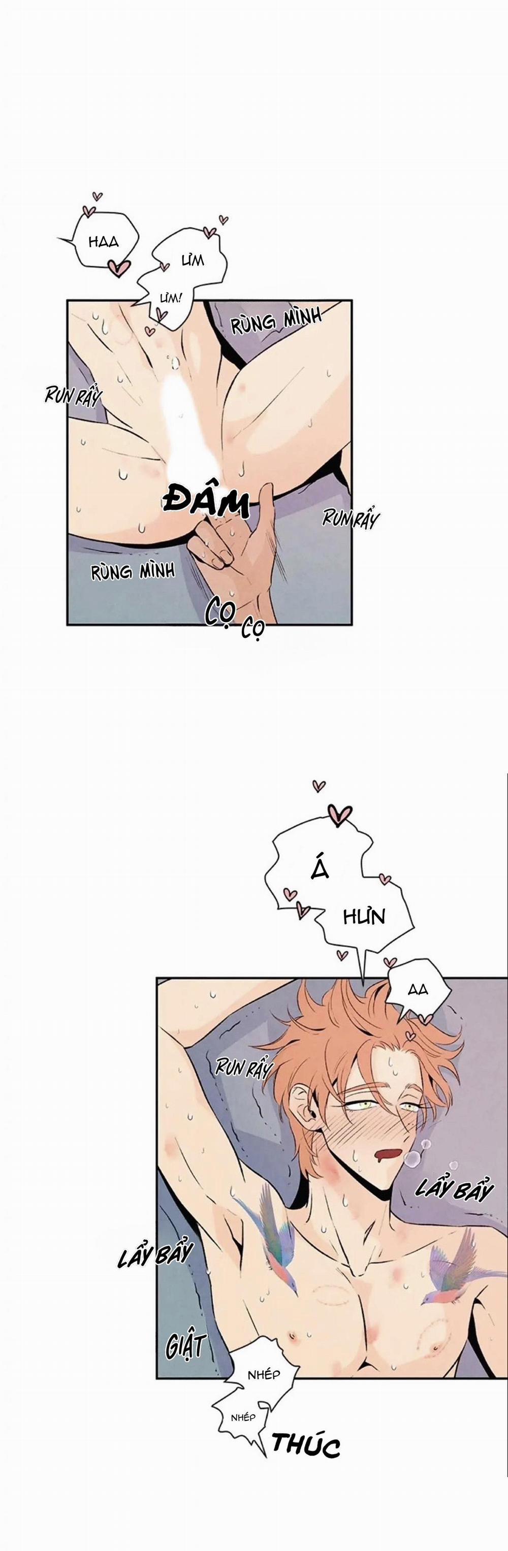 Bona Sort (End) 20 trang 3