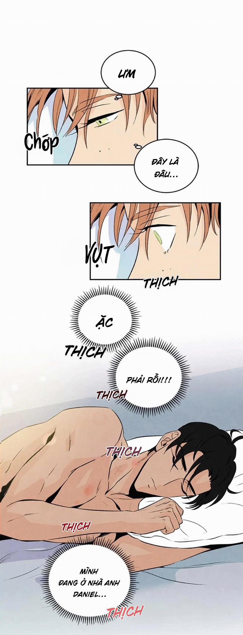 Bona Sort (End) 20 trang 33