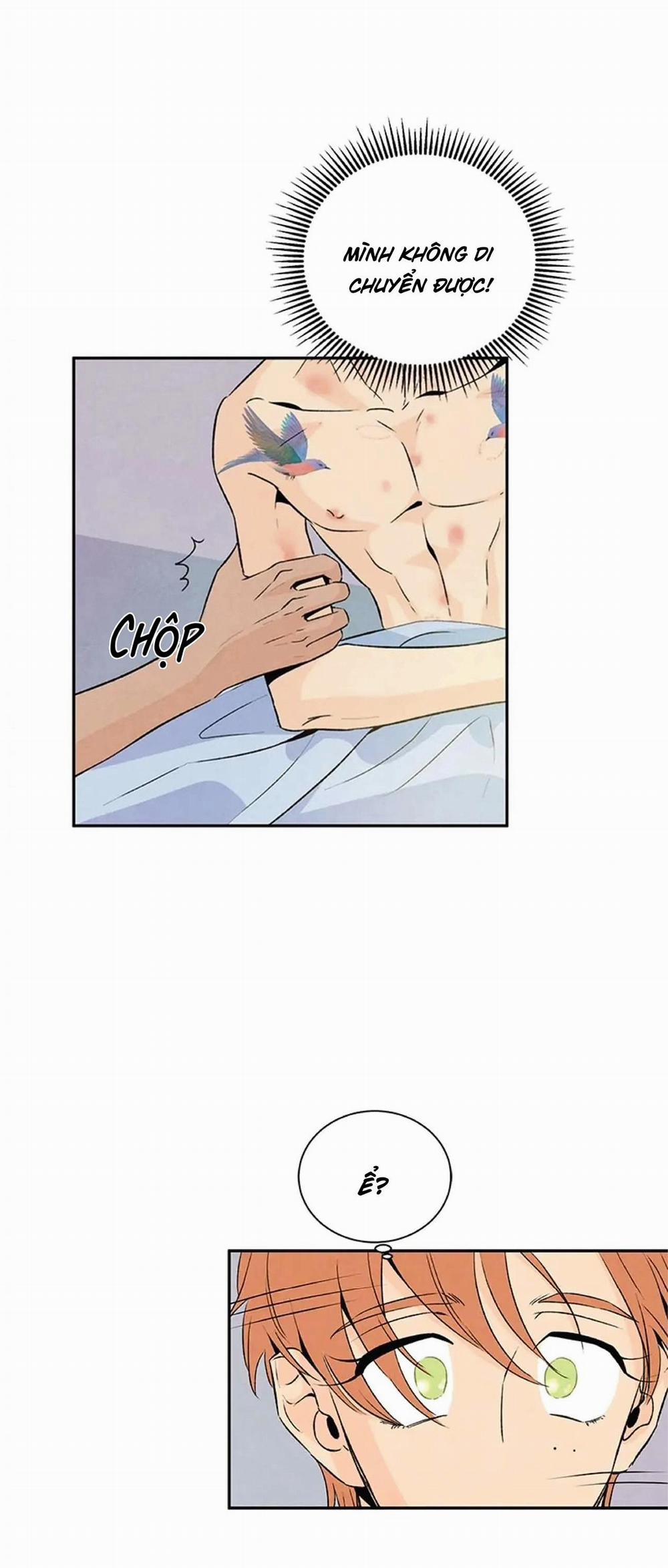 Bona Sort (End) 20 trang 35