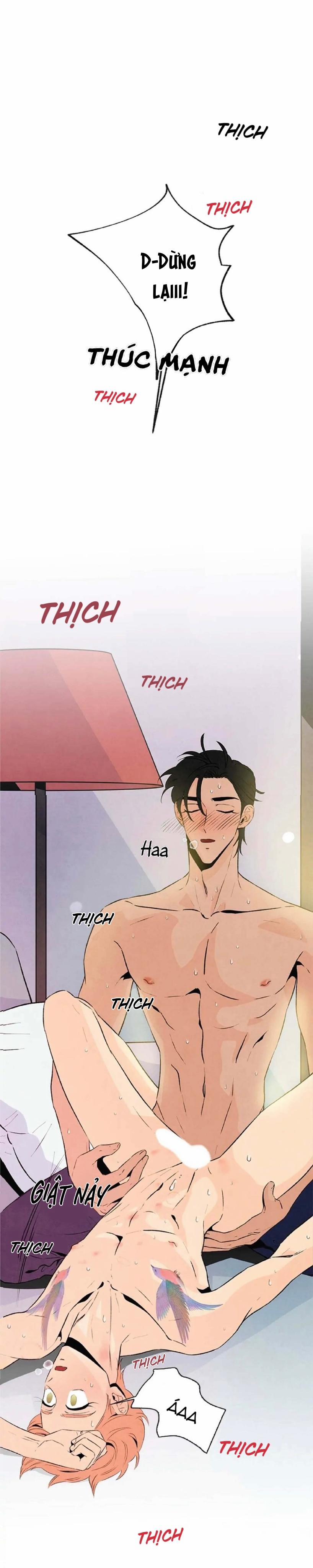 Bona Sort (End) 20 trang 7