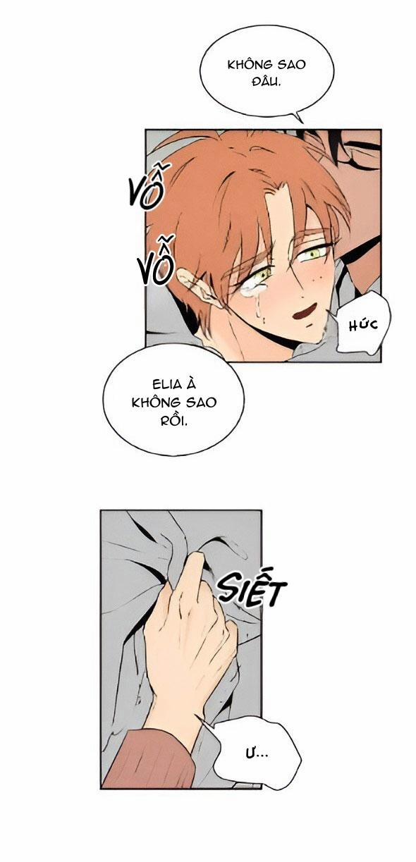 Bona Sort (End) 22 trang 24