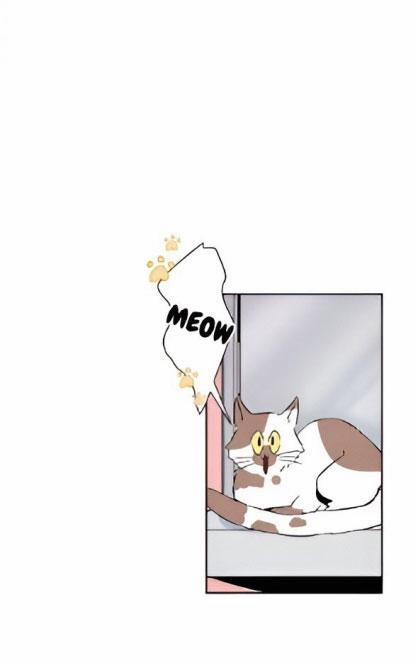 Bona Sort (End) 22 trang 31