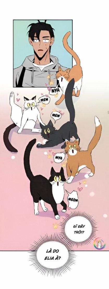 Bona Sort (End) 22 trang 32